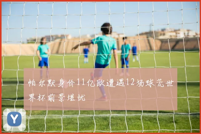 帕尔默身价11亿欧遭遇12场球荒世界杯前景堪忧