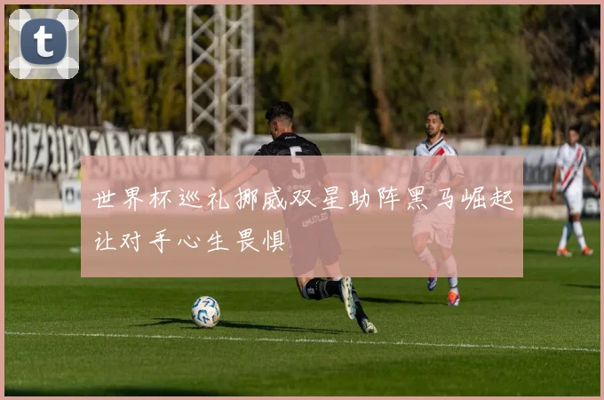 世界杯巡礼挪威双星助阵黑马崛起让对手心生畏惧