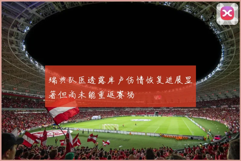 瑞典队医透露库卢伤情恢复进展显著但尚未能重返赛场