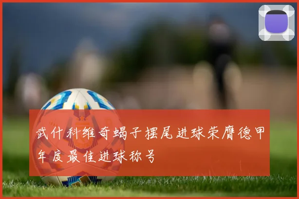 武什科维奇蝎子摆尾进球荣膺德甲年度最佳进球称号